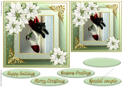 Christmas cat quick card 