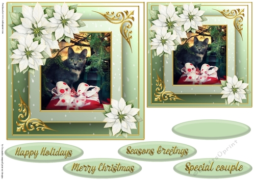 Christmas cat quick card 
