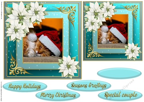 Christmas cat quick card 