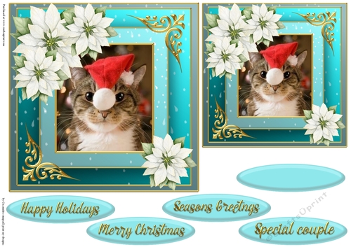 Christmas cat quick card 