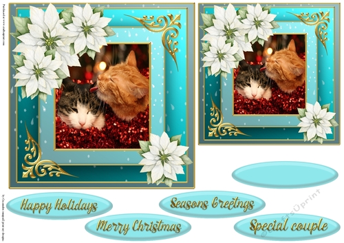 Christmas cat quick card 
