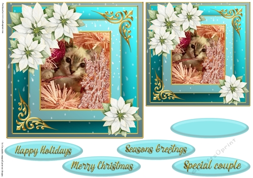 Christmas cat quick card 