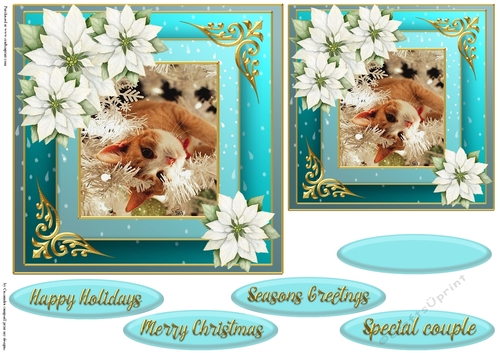 Christmas cat quick card 
