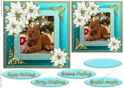 Christmas cat quick card 