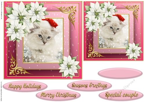 Christmas cat quick card 
