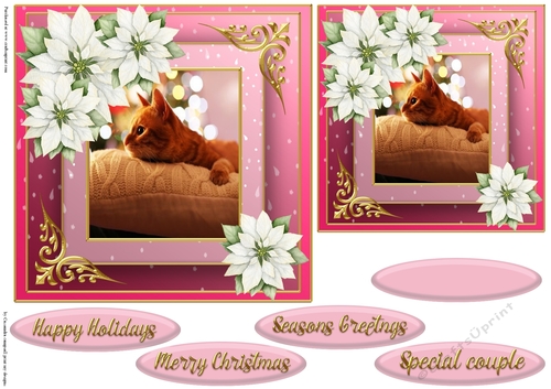 Christmas cat quick card 