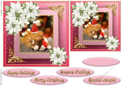 Christmas cat quick card 