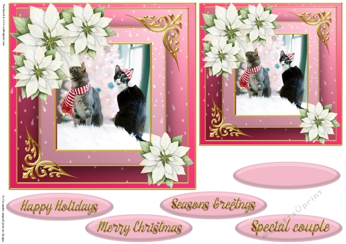 Christmas cat quick card 