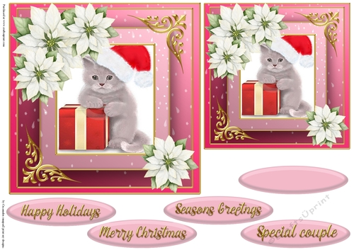 Christmas cat quick card 