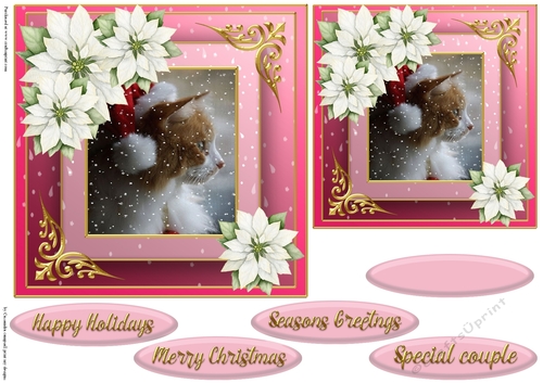 Christmas cat quick card 