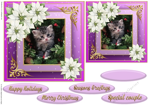 Christmas cat quick card 