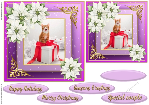 Christmas cat quick card 
