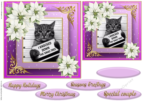 Christmas cat quick card 