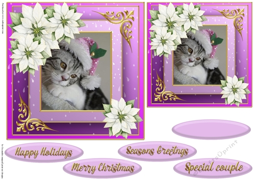 Christmas cat quick card 