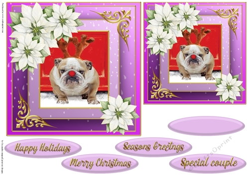 Christmas cat quick card 