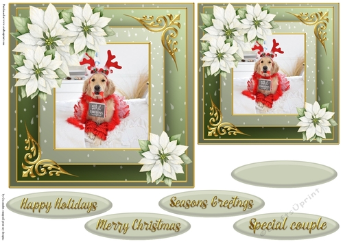 Christmas dog quick card 