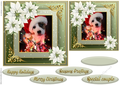 Christmas dog quick card 