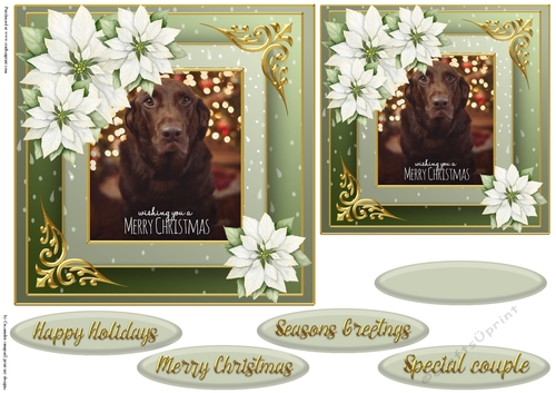 Christmas dog quick card 