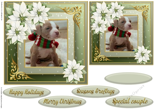 Christmas dog quick card 
