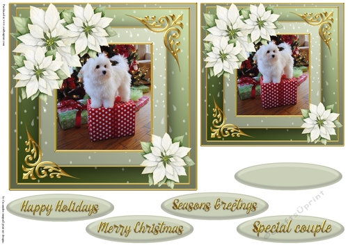Christmas dog quick card 