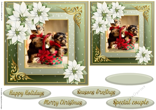 Christmas dog quick card 