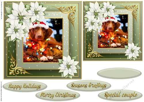 Christmas dog quick card 