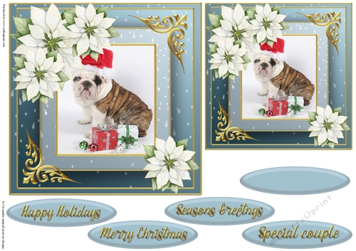 Christmas dog quick card 