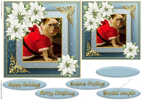 Christmas dog quick card 
