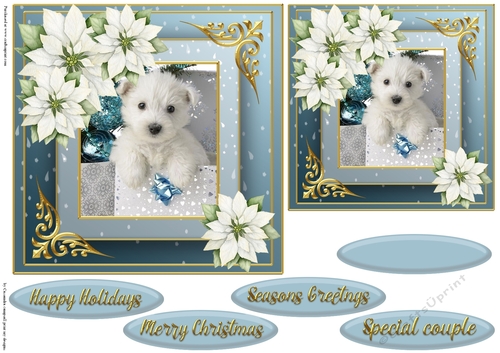 Christmas dog quick card 