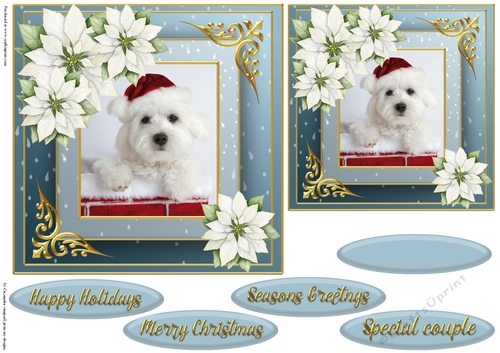Christmas dog quick card 