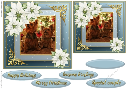 Christmas dog quick card 