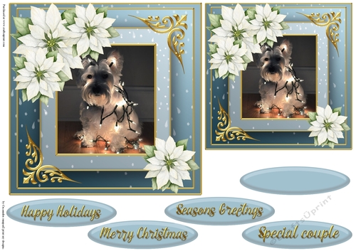 Christmas dog quick card 