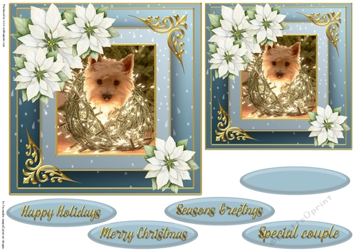 Christmas dog quick card 