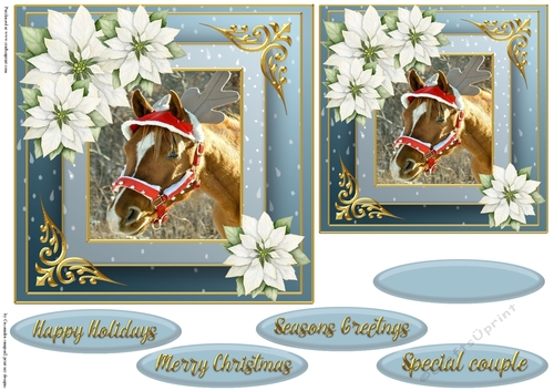 Christmas horse quick card 