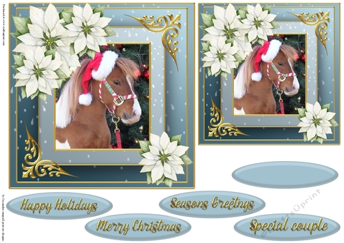 Christmas horse quick card 