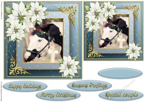Christmas horse quick card 
