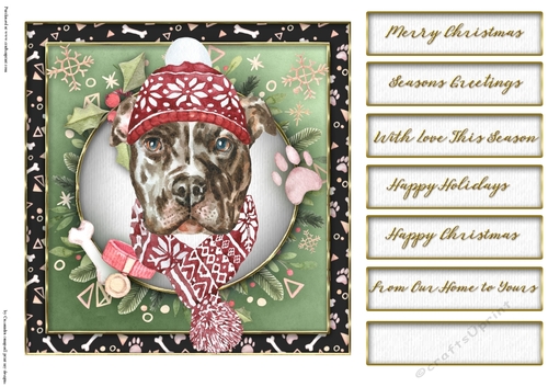 Christmas dogs  quick card collection