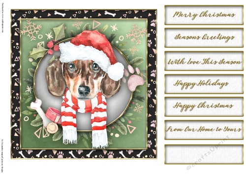 Christmas dogs  quick card collection