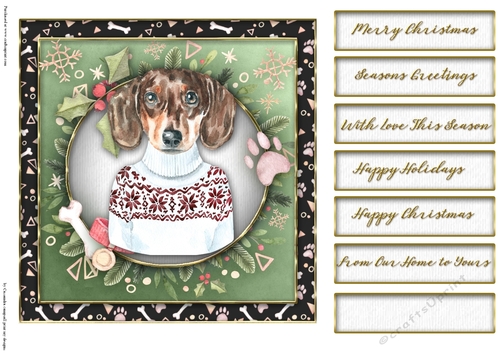 Christmas dogs  quick card collection