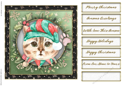 Christmas cats quick card collection