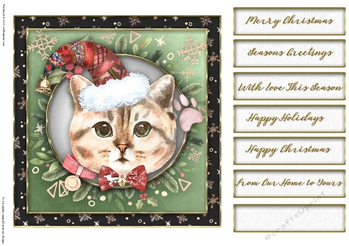 Christmas cats quick card collection