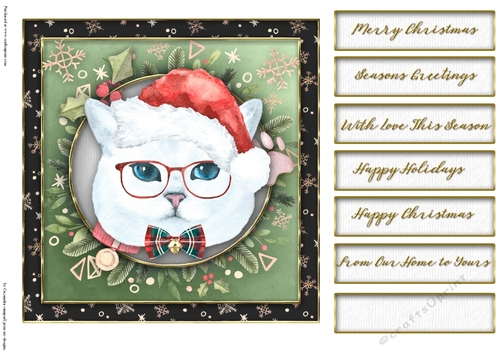 Christmas cats quick card collection