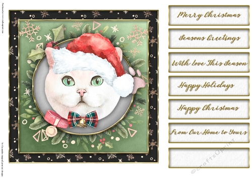 Christmas cats quick card collection