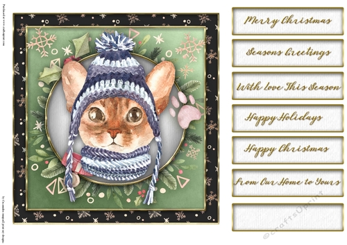 Christmas cats quick card collection