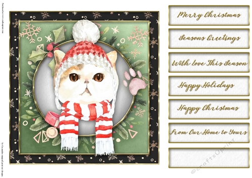 Christmas cats quick card collection