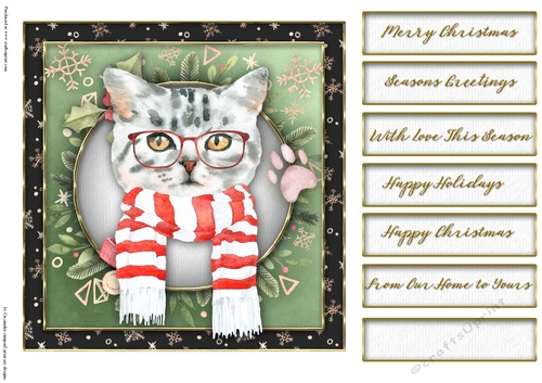 Christmas cats quick card collection