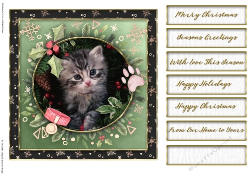 Christmas cats quick card collection