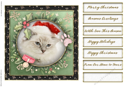 Christmas cats quick card collection