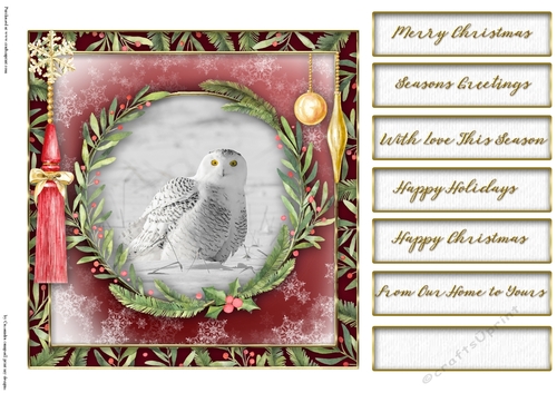 Christmas owl quick card collection