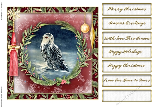 Christmas owl quick card collection